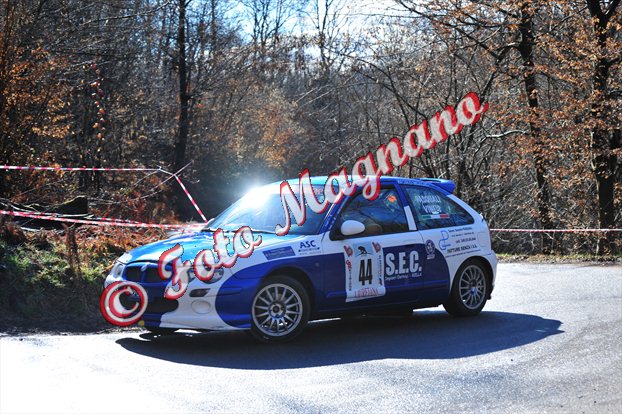 DSC_3517.jpg